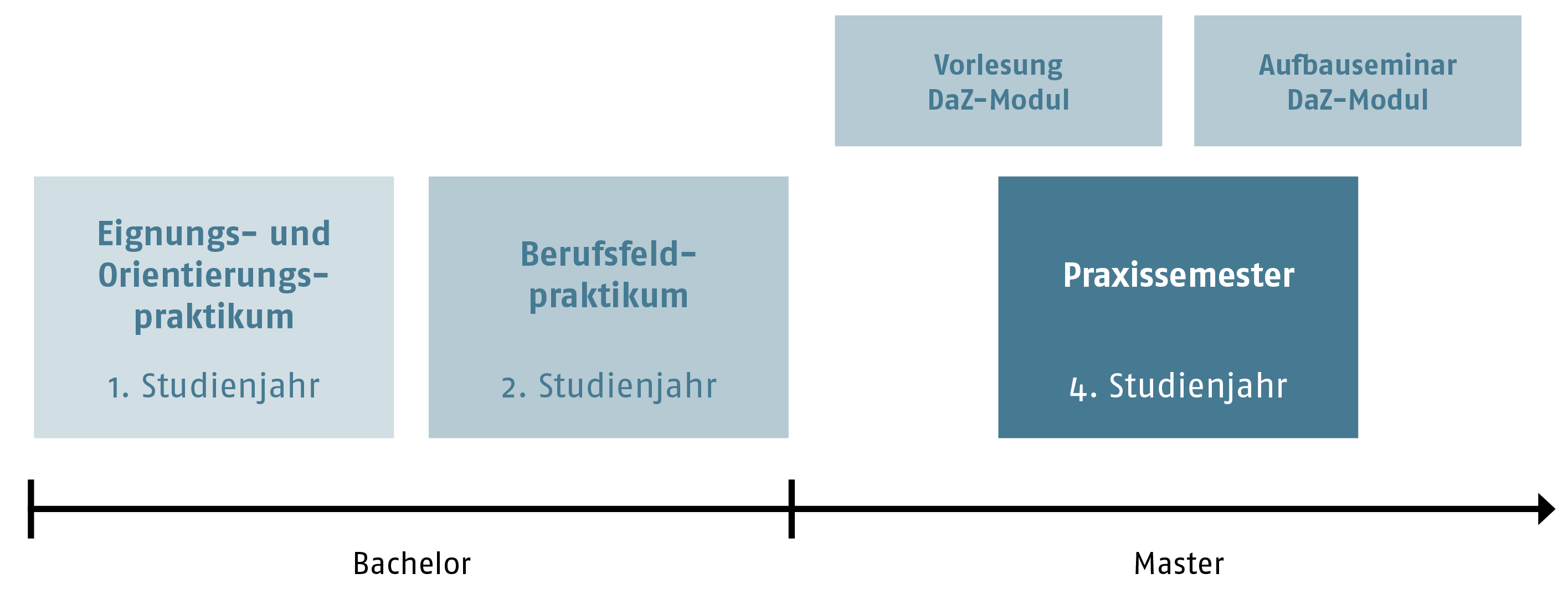 Ablaufplan der Praxisphasen mit Integration der DaZ-Module