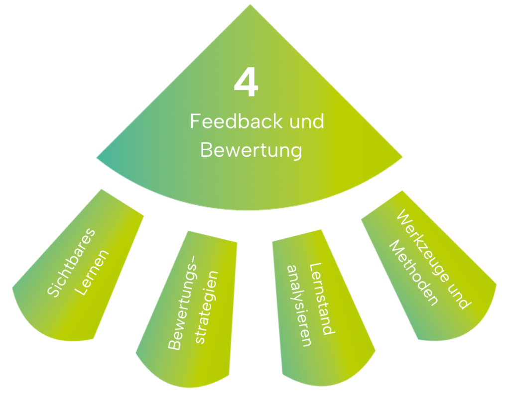 Unterthemen des Bereichs Feedback und Bewertung des Teff-Rahmens: Bewertungsstrategien, sichtbares Lernen, Analyse von Nachweisen, Instrumente und Methoden