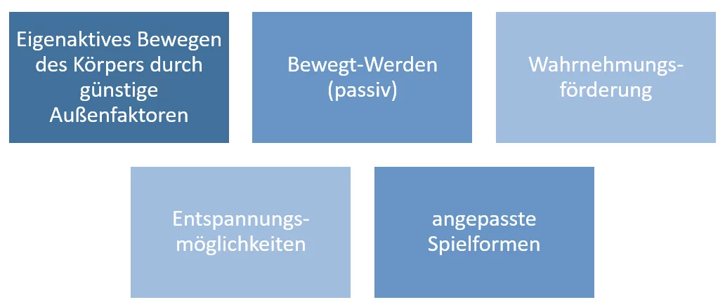 Dhr_BewegungsorientierteAlltagsgestaltungfrMenschenmitKomplexerBehinderung_ErfahrungsbereicheBewegung