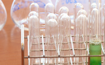 Sprachsensibler Chemieunterricht mit Tablets