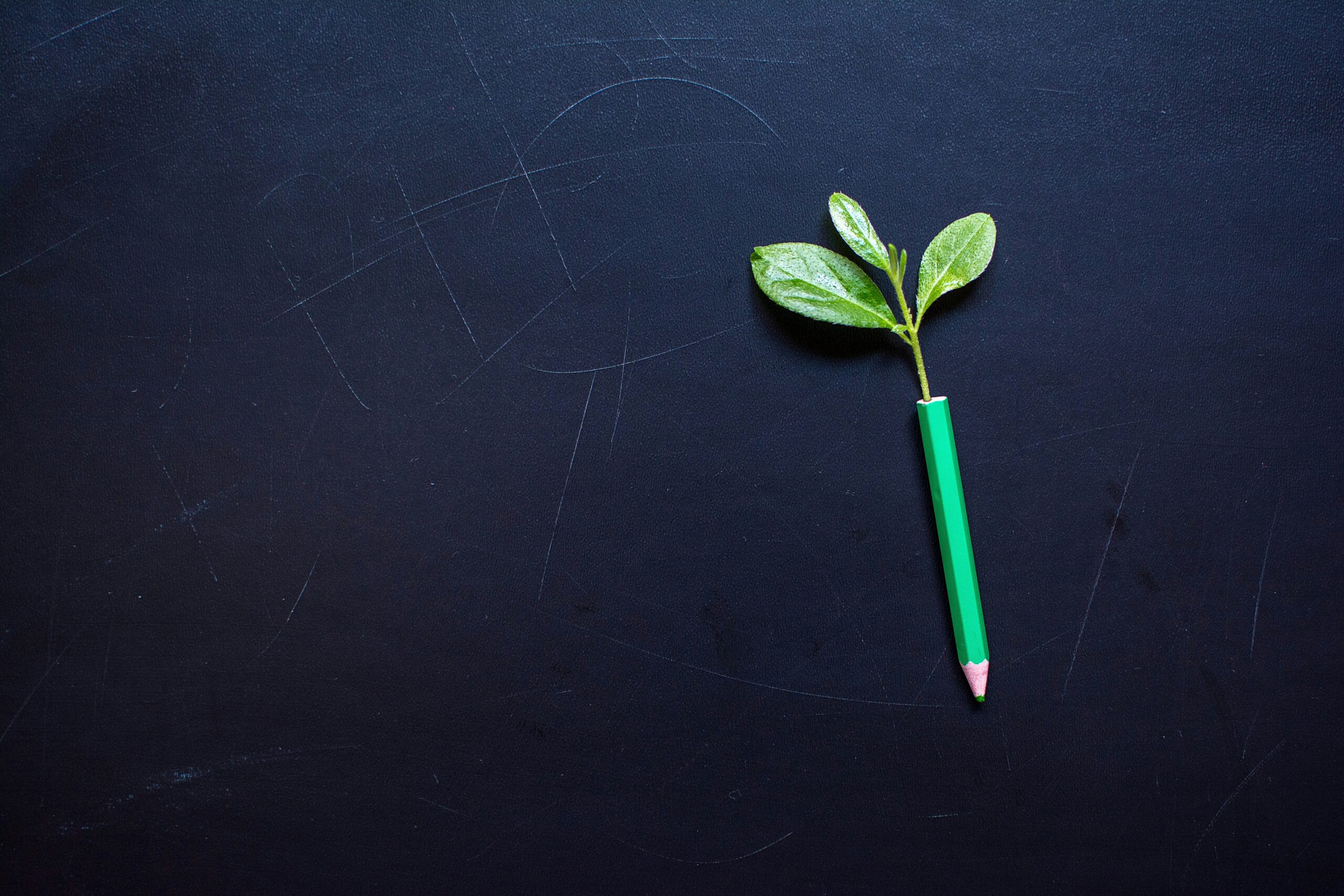 yura-batiushyn-Y7JEzRiGYqo-unsplash yura-batiushyn-Y7JEzRiGYqo-unsplash
