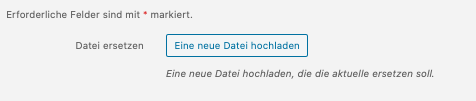 Screenshot des Dialogfensters Eine neue Datei hochladen